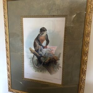 VINTAGE Framed Monkey Art Print